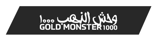erzincan-minelab-gold-monster-1000